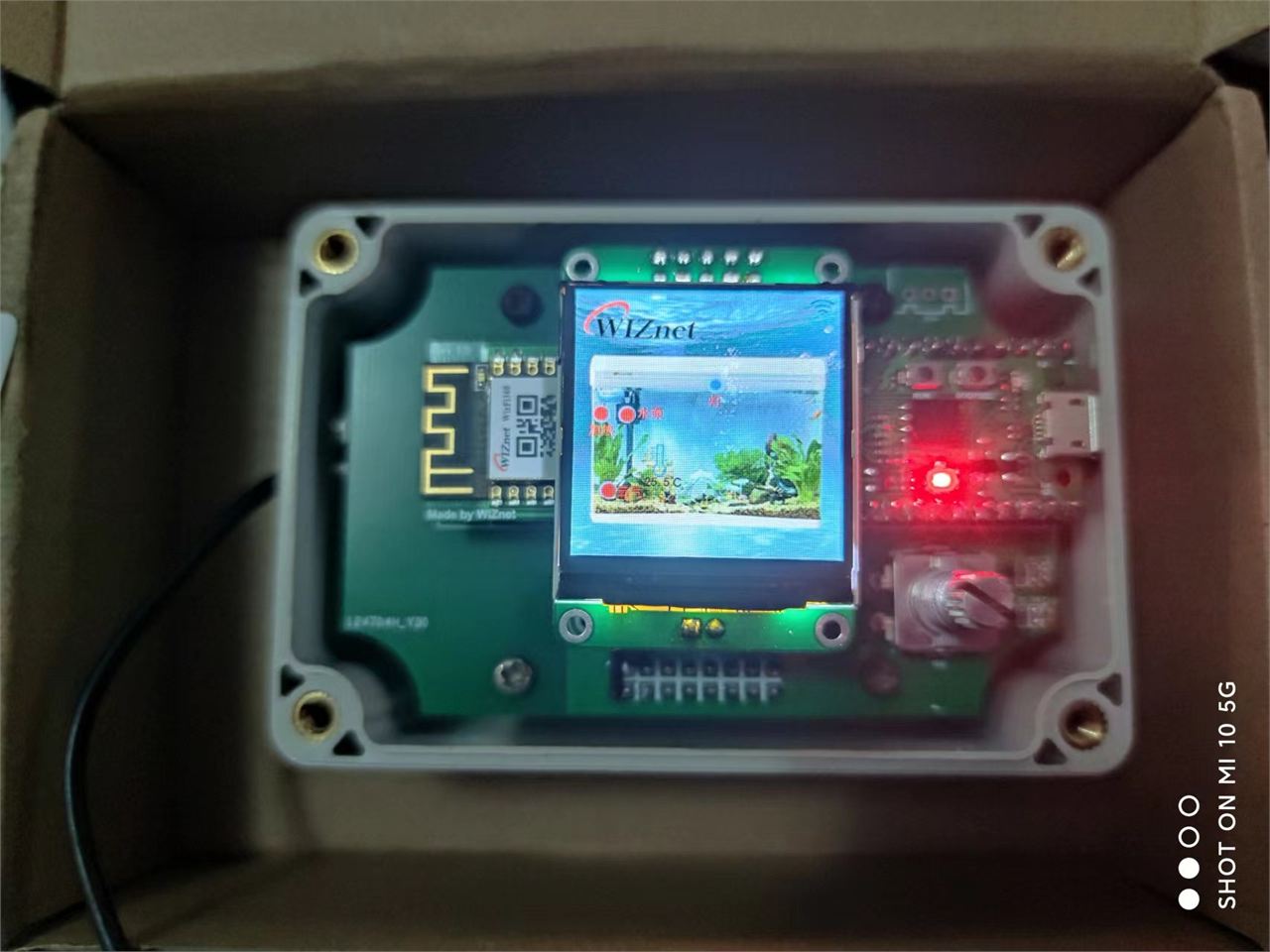 Intelligent fish tank