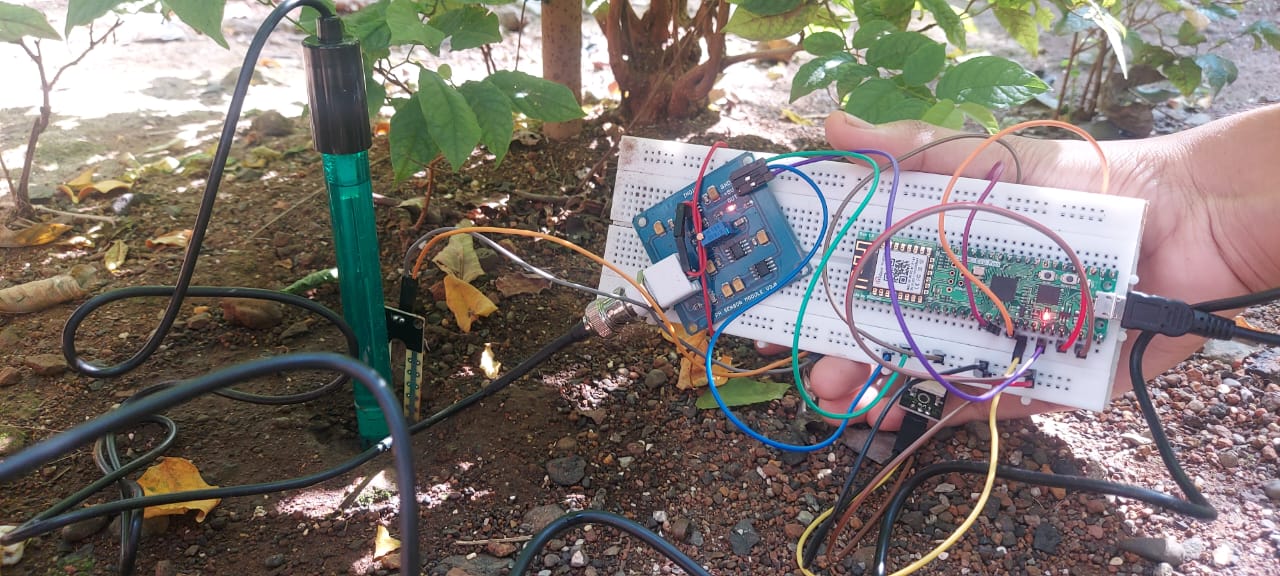 Greenhouse Plants Monitoring, Monitoring