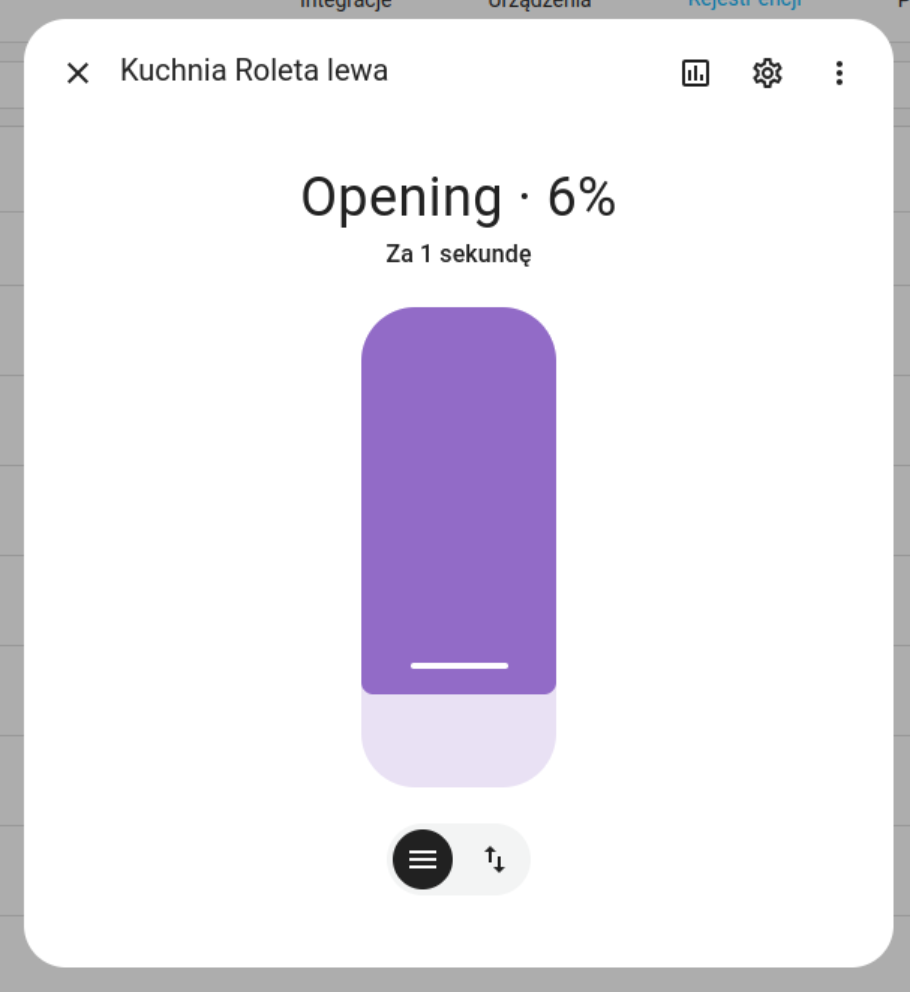What the Project Does