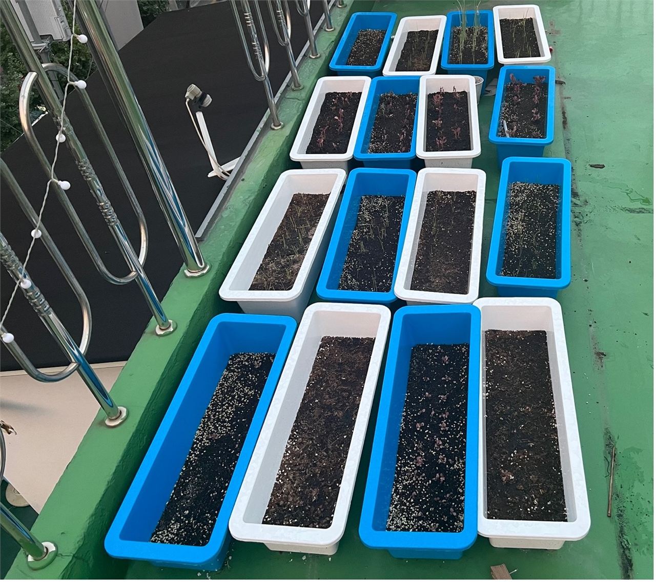 IoT-Based Urban Mini Smart Farm