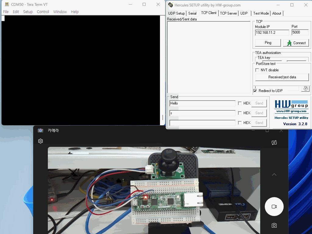 RP2040 + W5100S Multicore Basic