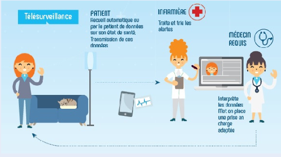 Medical Telemonitoring System, Project Overview