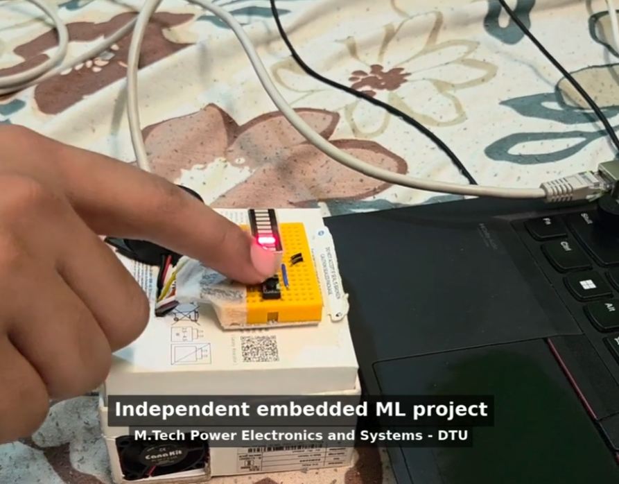 What the Project Does