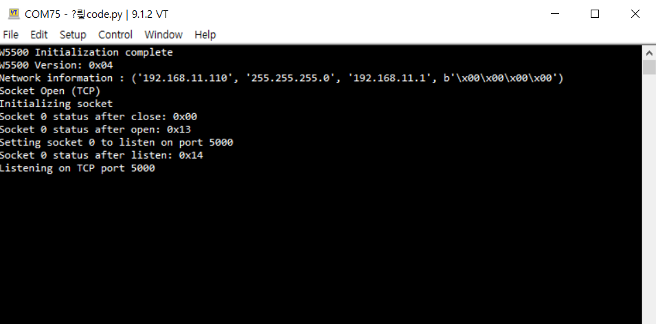 Getting started with W55RP20 circuitpython, Loopback Example