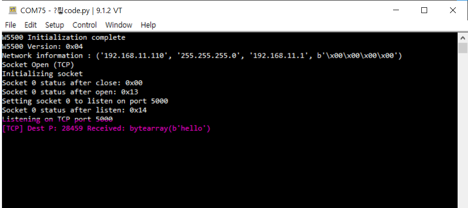 Getting started with W55RP20 circuitpython, Loopback Example