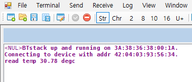 Debug message from W55RP-W