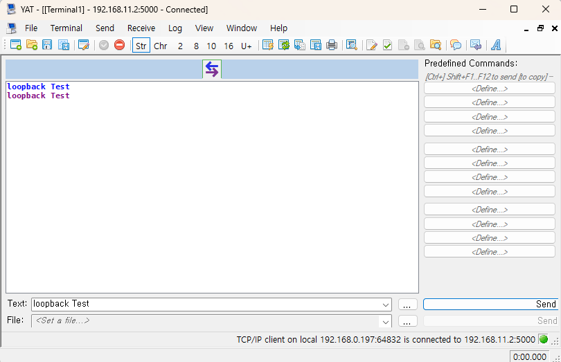 Loopback Test