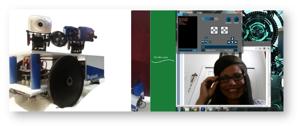 Reginald: a UDP Surveillance Bot; Control Via the Internet