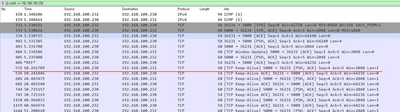 How to set TCP Keepalive in W55RP20