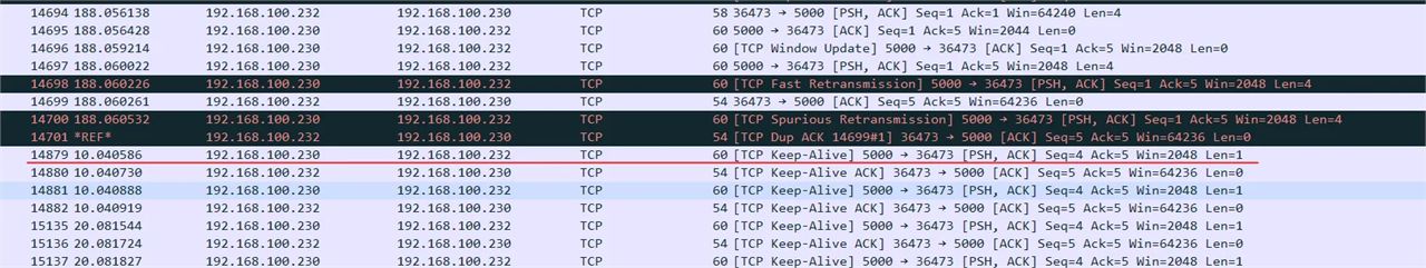 How to set TCP Keepalive in W55RP20