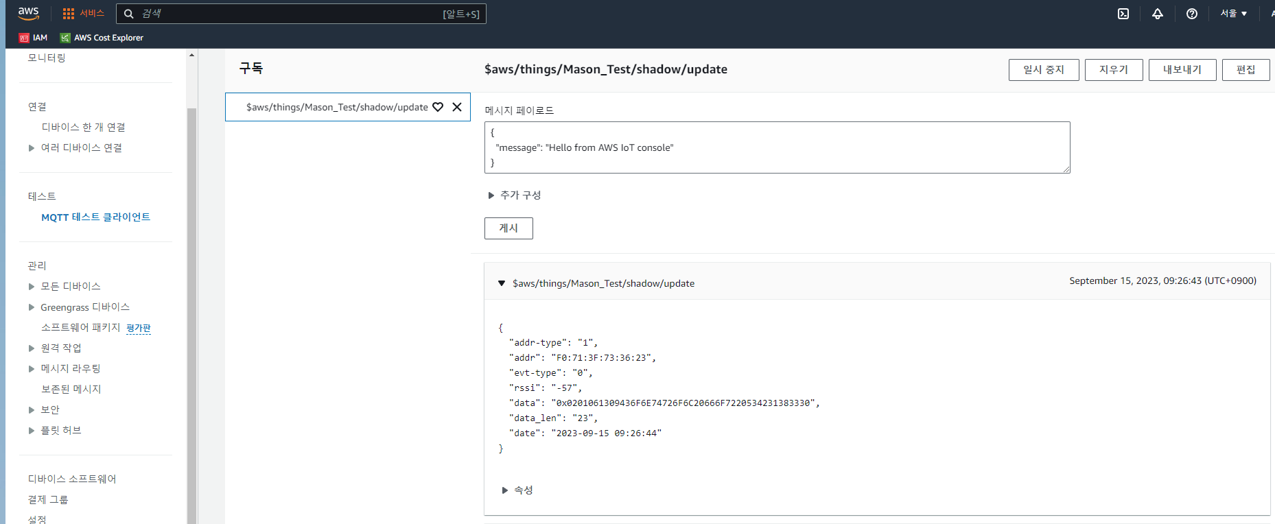 BLE Beacon Scanner Integration with Raspberry Pi Pico W, WIZnet Ethernet HAT, and AWS IoT Core