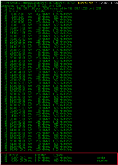 W55RP20 Ethernet Performance Measurements, Performance