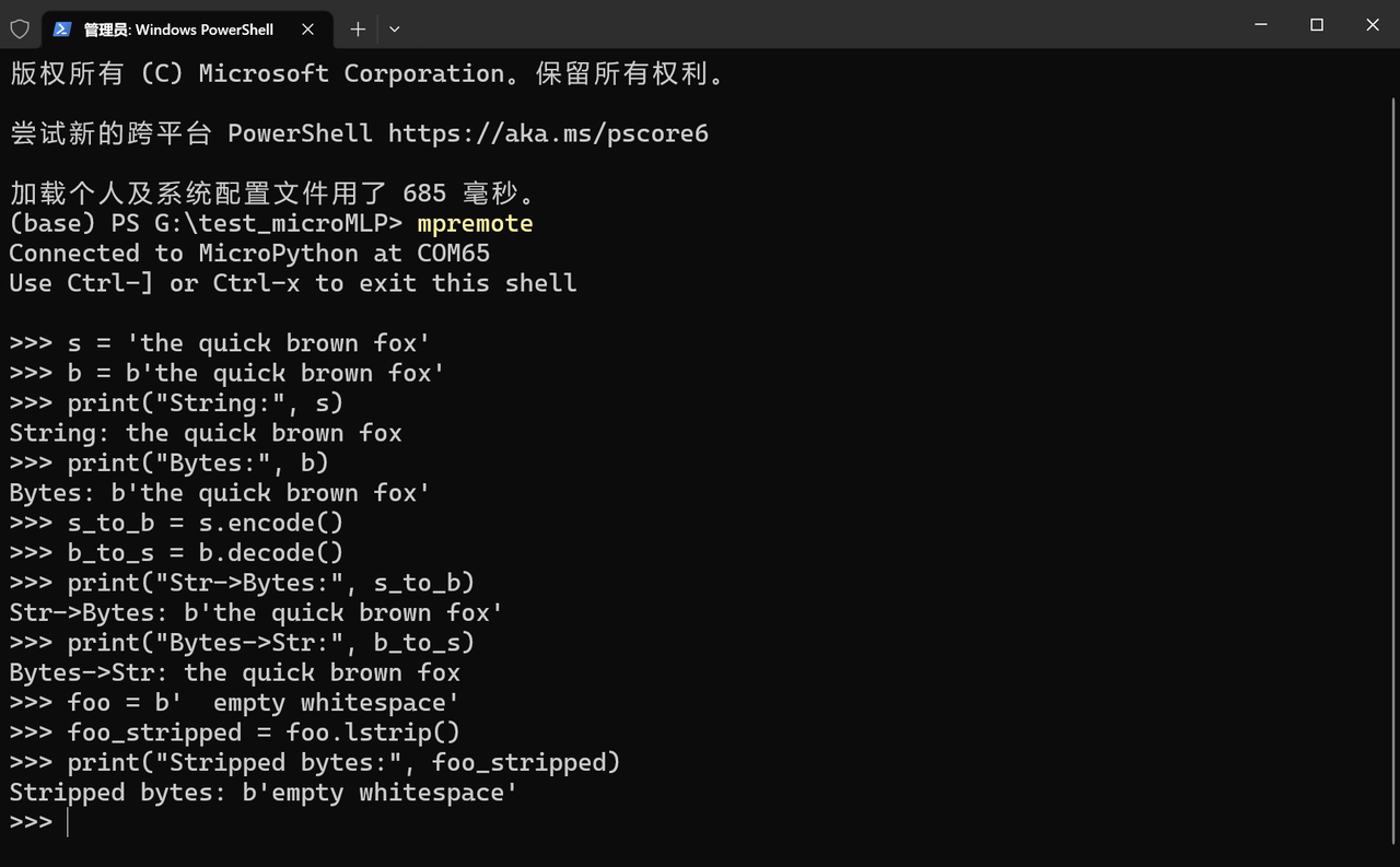 2.6.3 Numerical Storage Optimization (Replace Lists with struct/bytearray)
