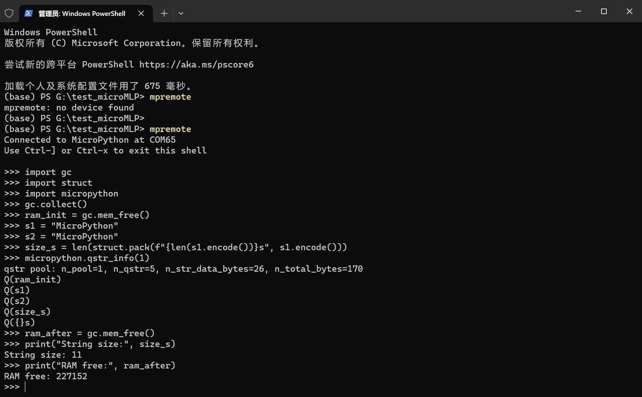 2.6.6 Storing Strings in Flash ( qstr Mechanism)