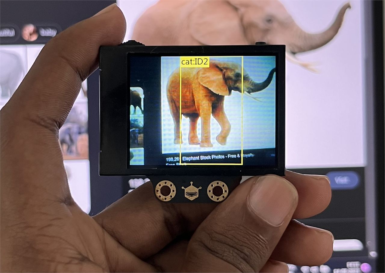 Husky lens Detecting Elephant