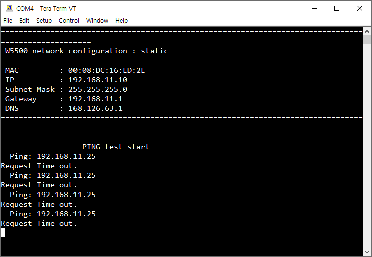 How to Send a Ping with W55RP20, Run