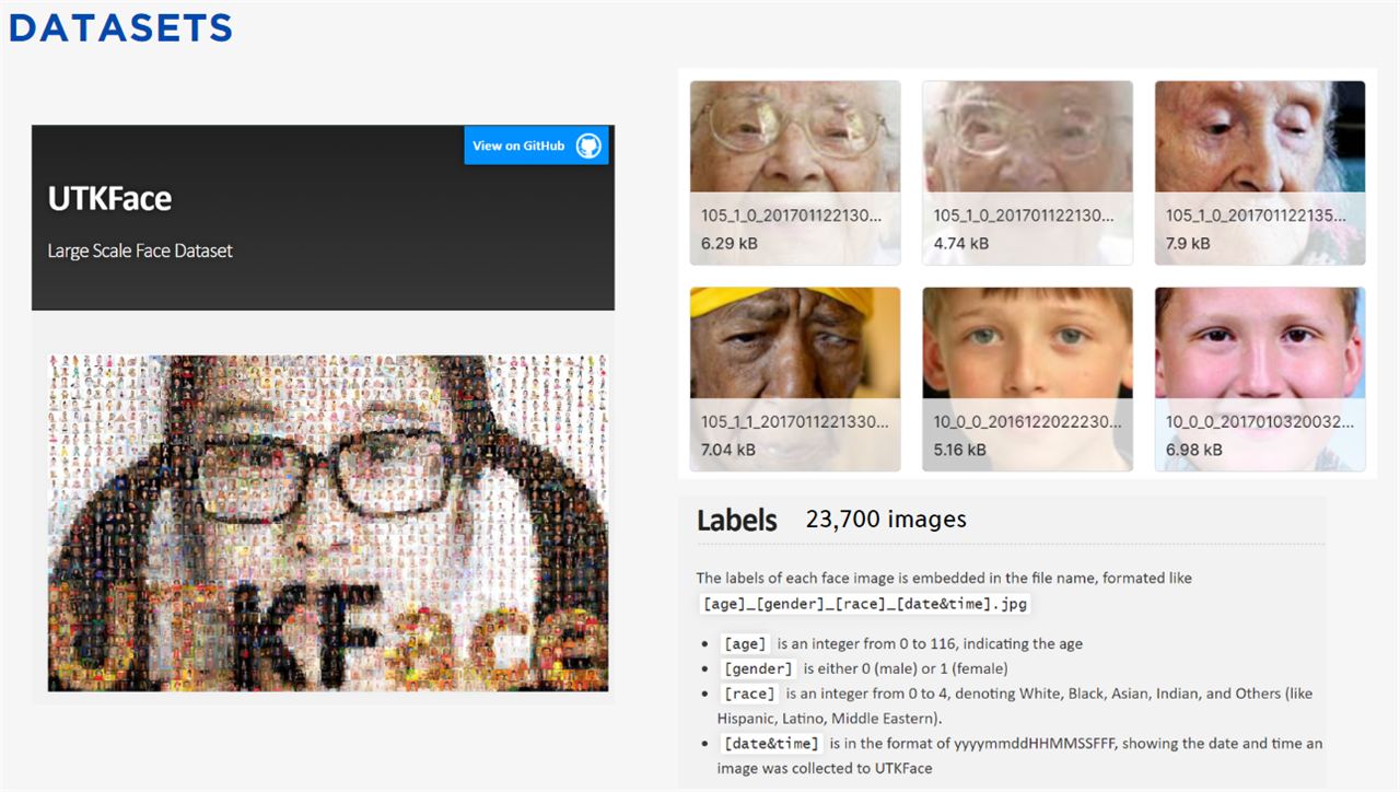 Embedded Age & Gender Detection with Raspberry Pi Pico & WIZnet Ethernet HAT, Dataset
