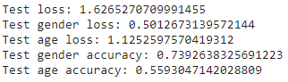 Embedded Age & Gender Detection with Raspberry Pi Pico & WIZnet Ethernet HAT, Training pipeline