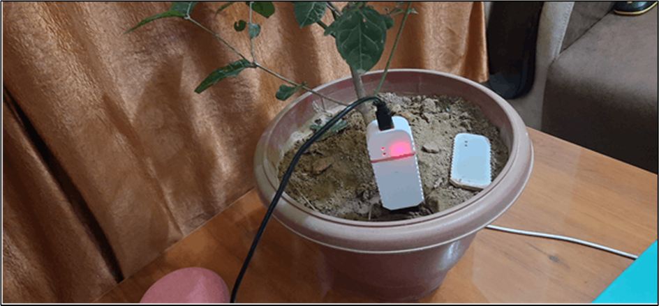CASE STUDY: The Sustainable Fragrance :