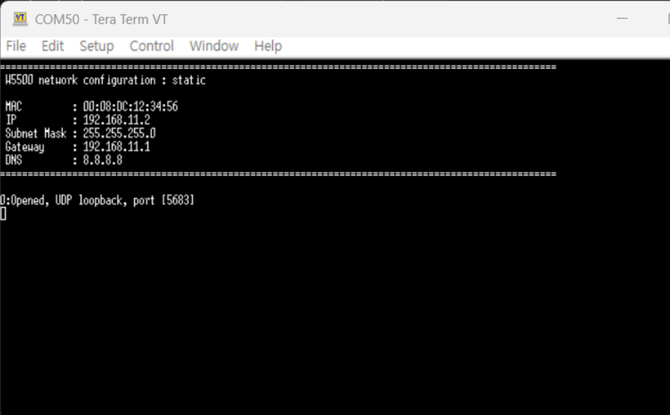 How to test COAP server example