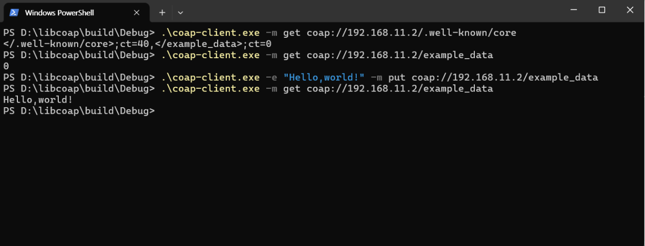 How to test COAP server example