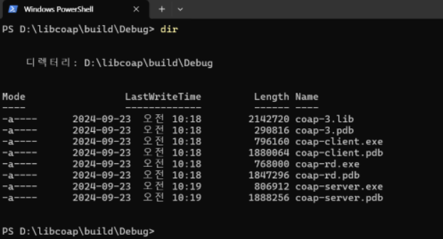 How to test COAP Client example