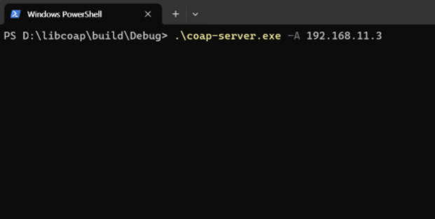 How to test COAP Client example