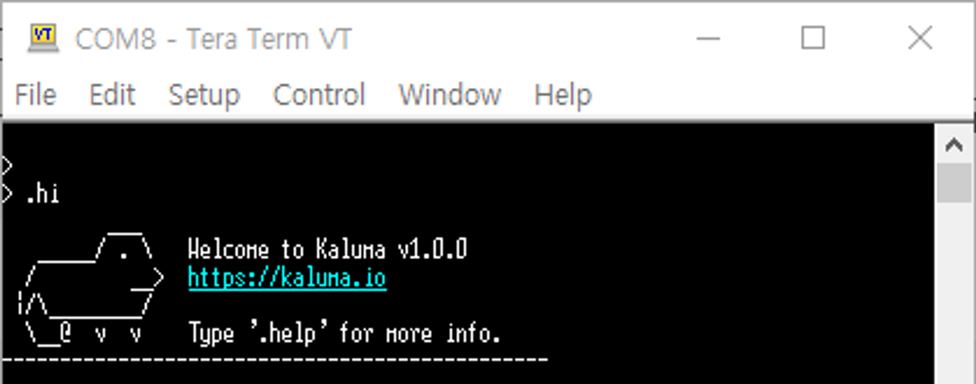 2.3. Connect with Terminal