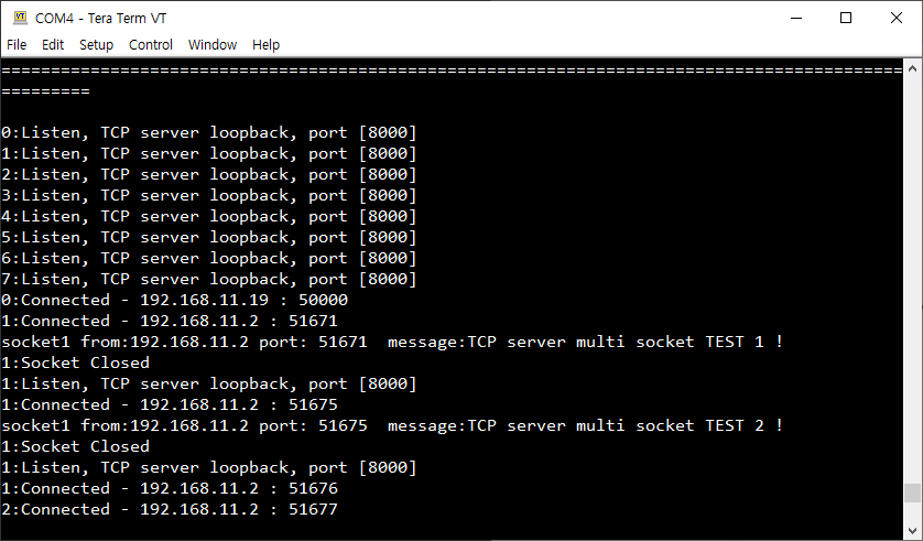 TCP server's screen (W55RP20)