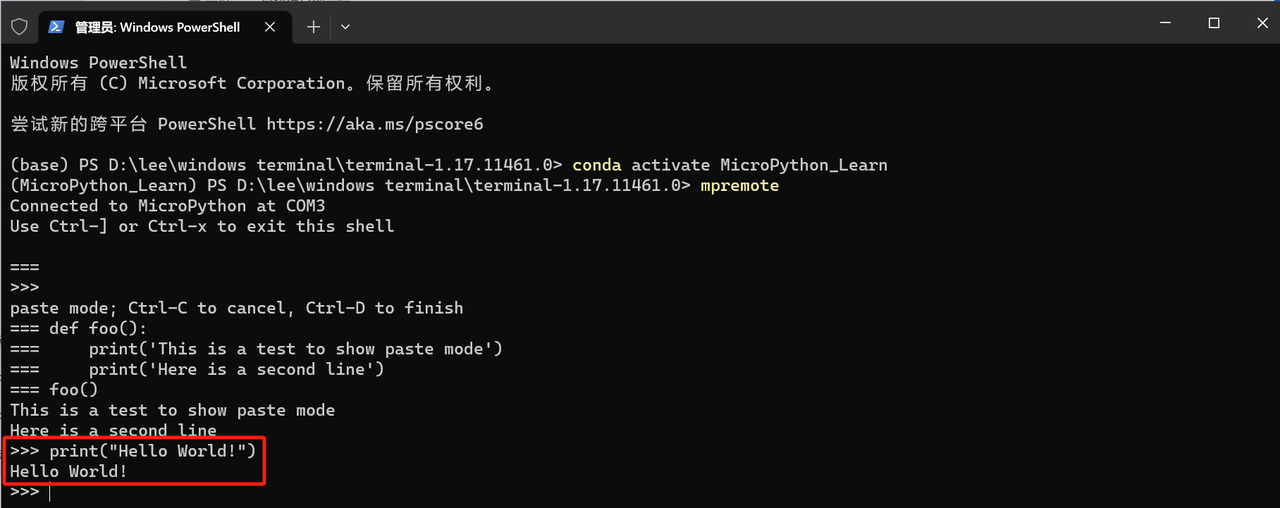 2. Terminal Print Output