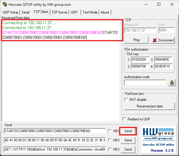 Step 5.2: Run TCP Server Loopback