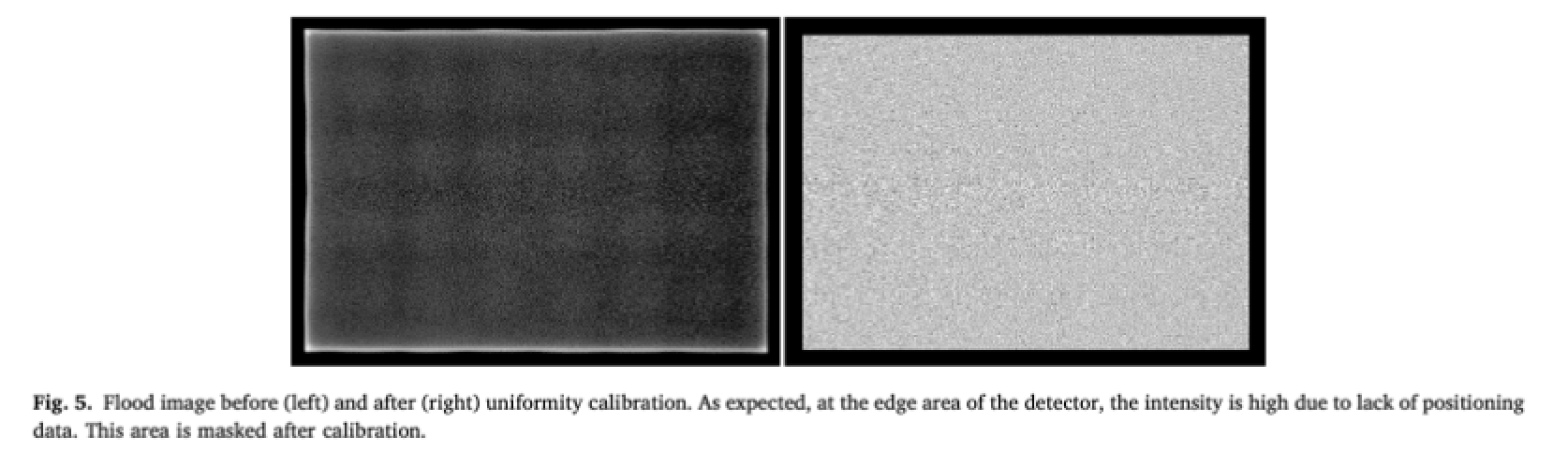 Novel Readout Electronics for Large Field-of-View Gamma Camera (Physica Medica 2024)