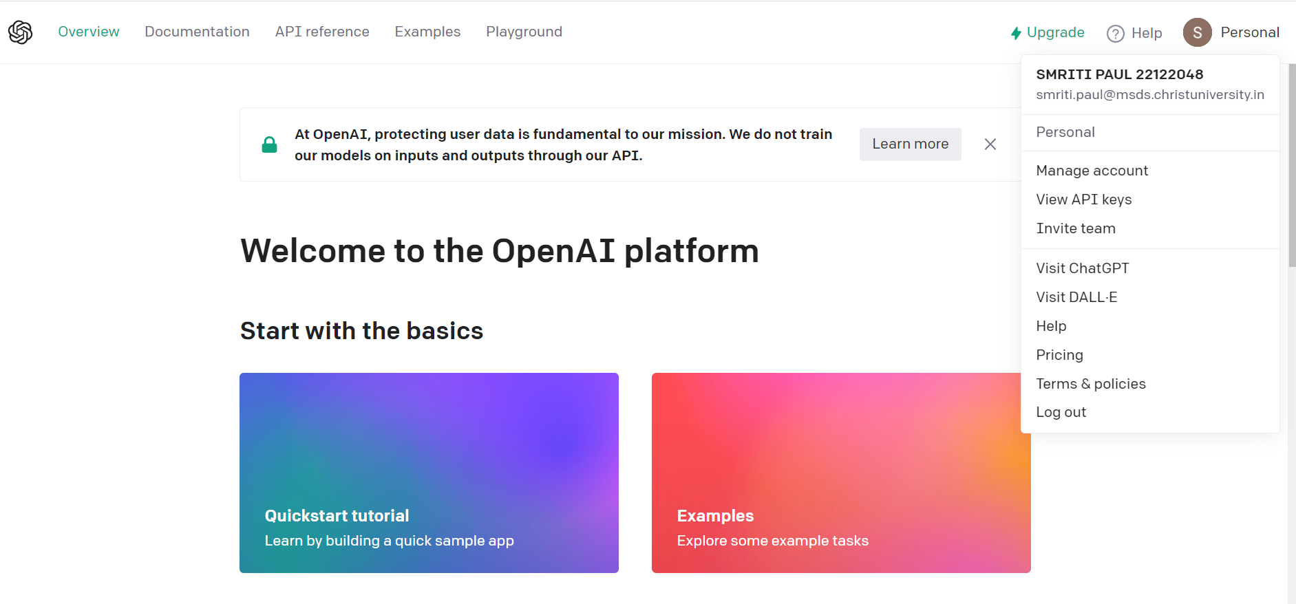 Setting up with OpenAi :