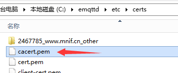 Users connecting to their own servers should replace their own certificate data.