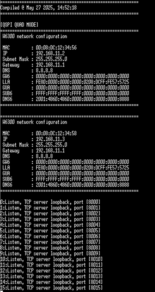 W6300-based 2-port Ethernet setup on the RP2350 (loopback example), loopback TEST