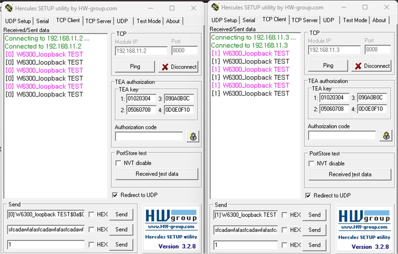 W6300-based 2-port Ethernet setup on the RP2350 (loopback example), loopback TEST