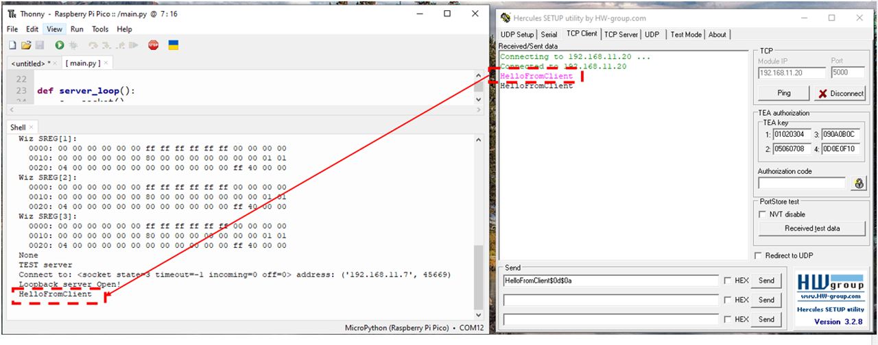 Getting started with W5100S-EVB-Pico2 and Micropython, Step 4.