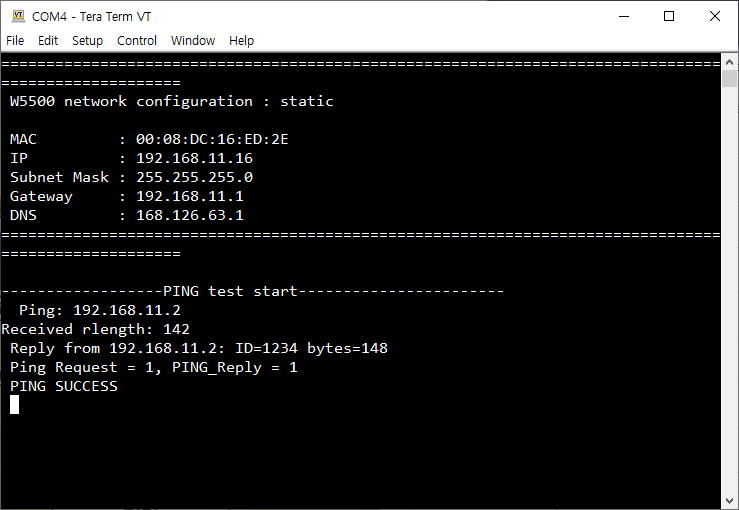 How to Send a Ping with W55RP20, Run