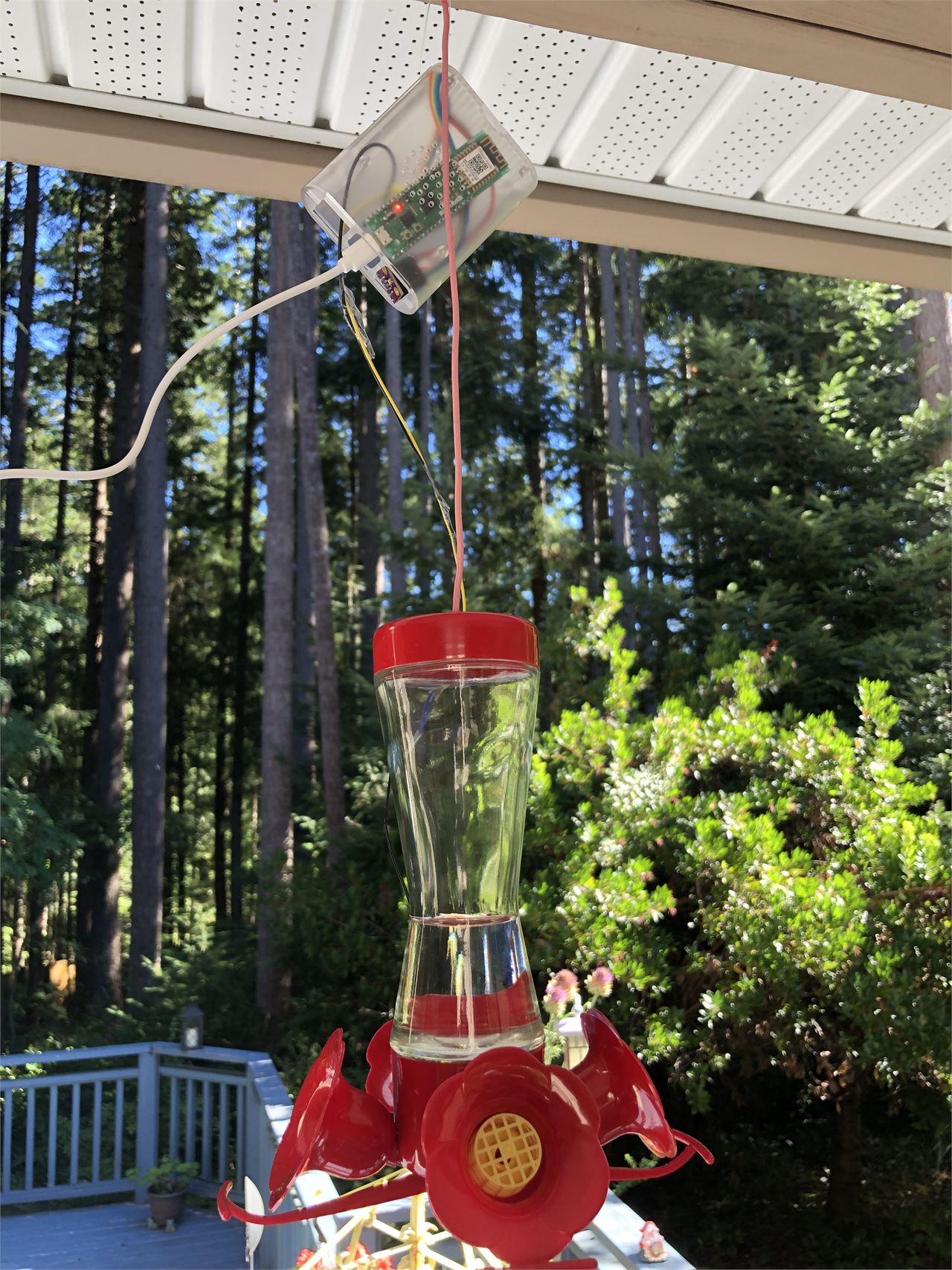 Readying the Sensor for Actual Use at the Hummingbird Feeder.