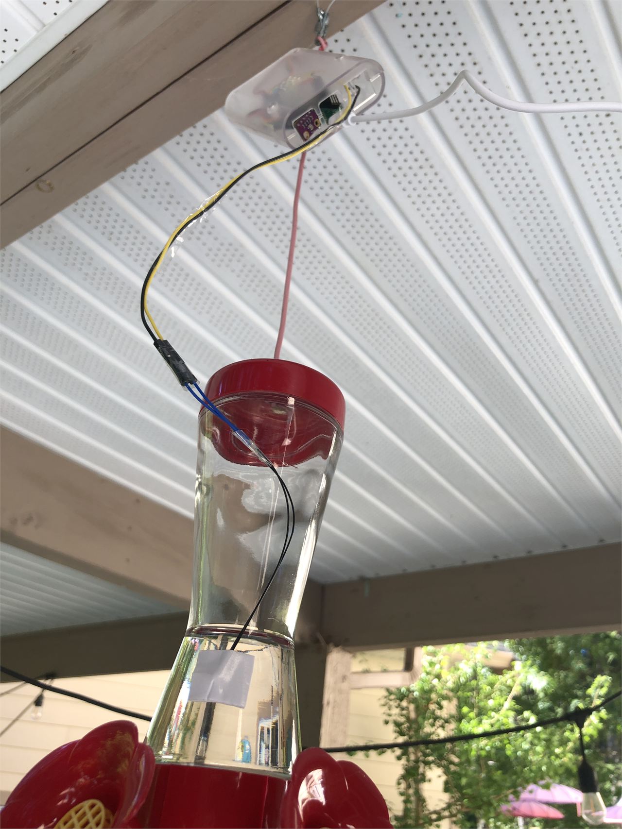 Readying the Sensor for Actual Use at the Hummingbird Feeder.