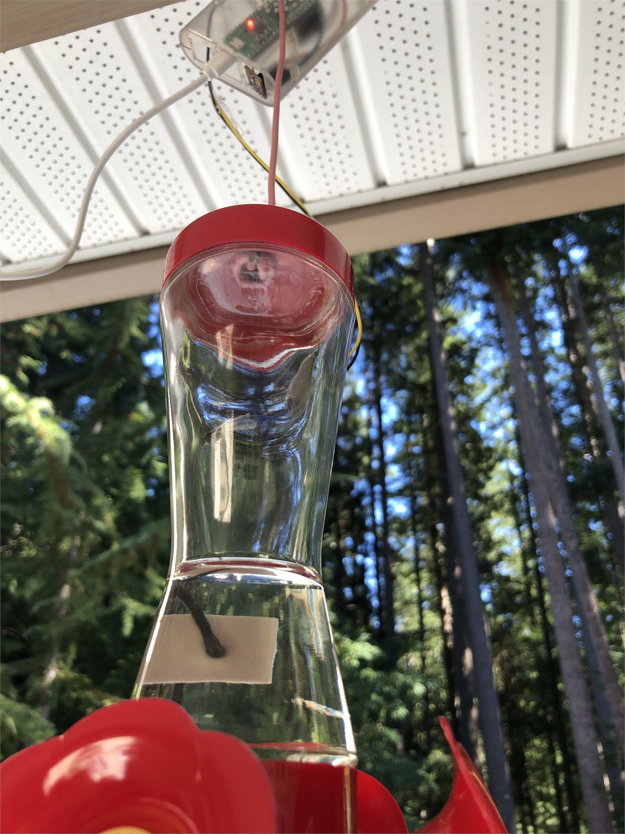 Readying the Sensor for Actual Use at the Hummingbird Feeder.