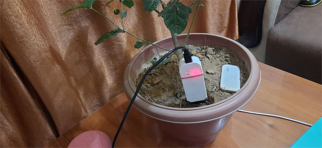 CASE STUDY: The Sustainable Fragrance