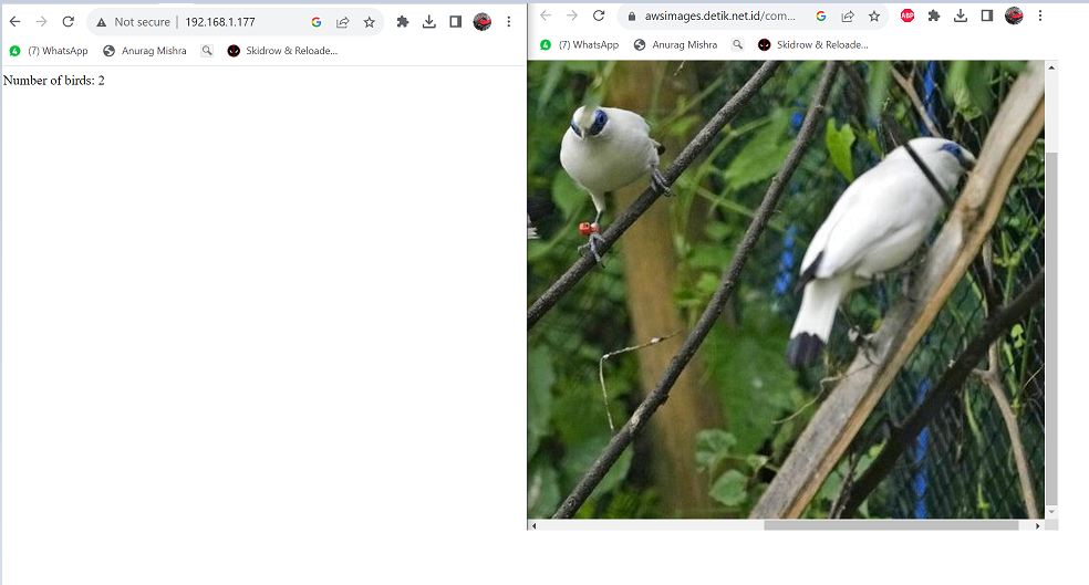 TinyML Based Bird watcher