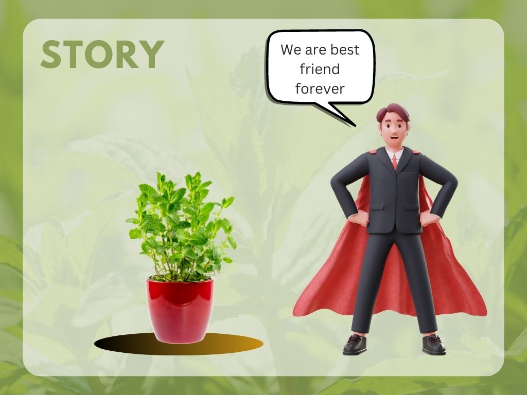 AMG Sprinkbot: Automated Mint Garden Smart Sprinkler System, Story