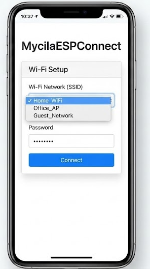 2. The "Captive Portal"