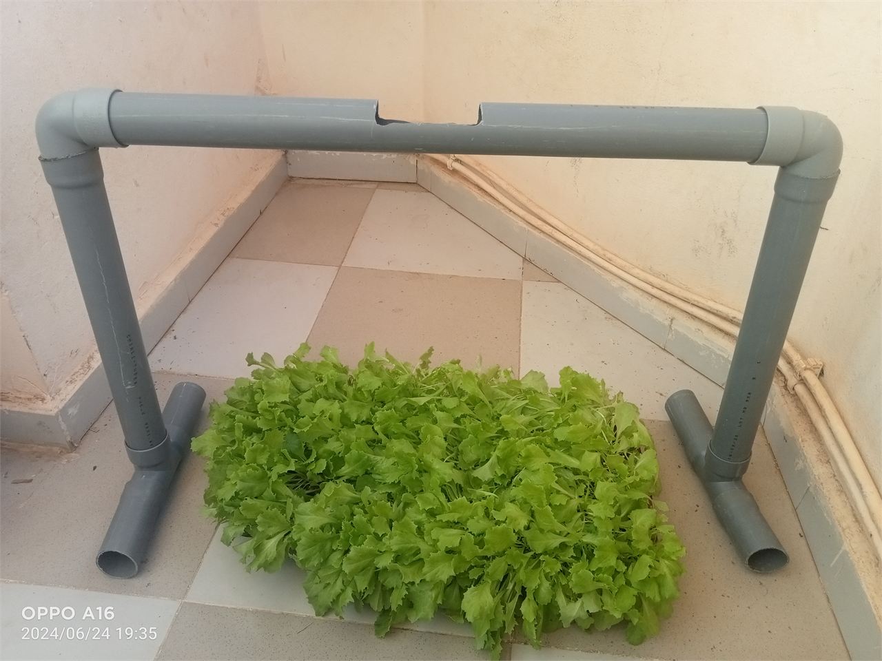 Remote monitoring of green ecosystems, Hardware Preparation