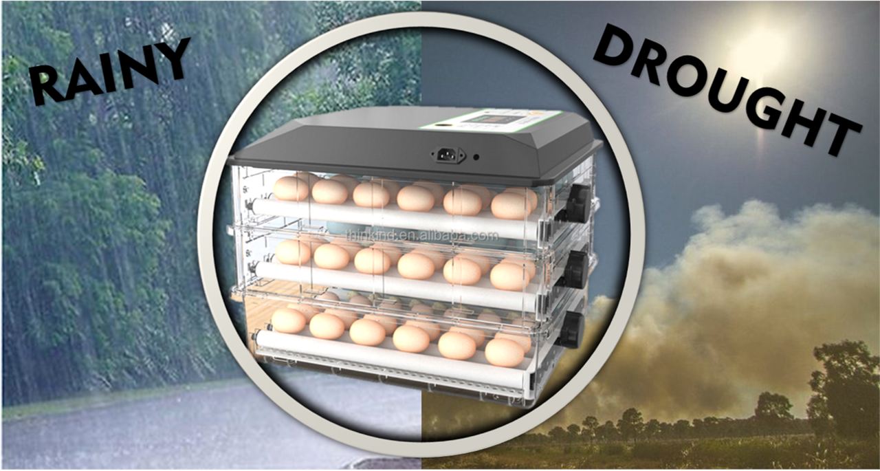 SENKU: Smart Egg Incubator, Problem