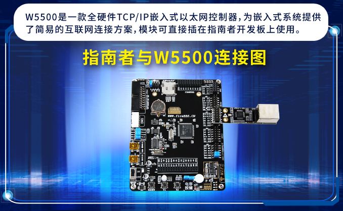 STM32F Development Board