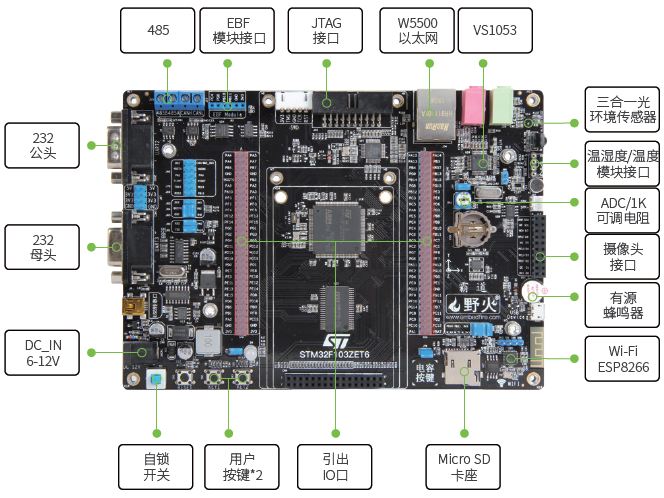 STM32F Development Board