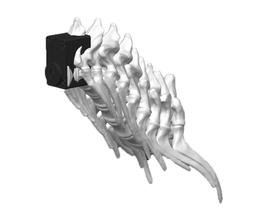 CAD render of a black DYNAMIXEL servo motor embedded in the white vertebrae of the 3D-printed T-Rex neck, shown against a plain background